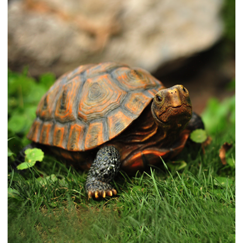 Bonsai Garden With Pond - Cute Resin Tortoise Statue Outdoor Garden