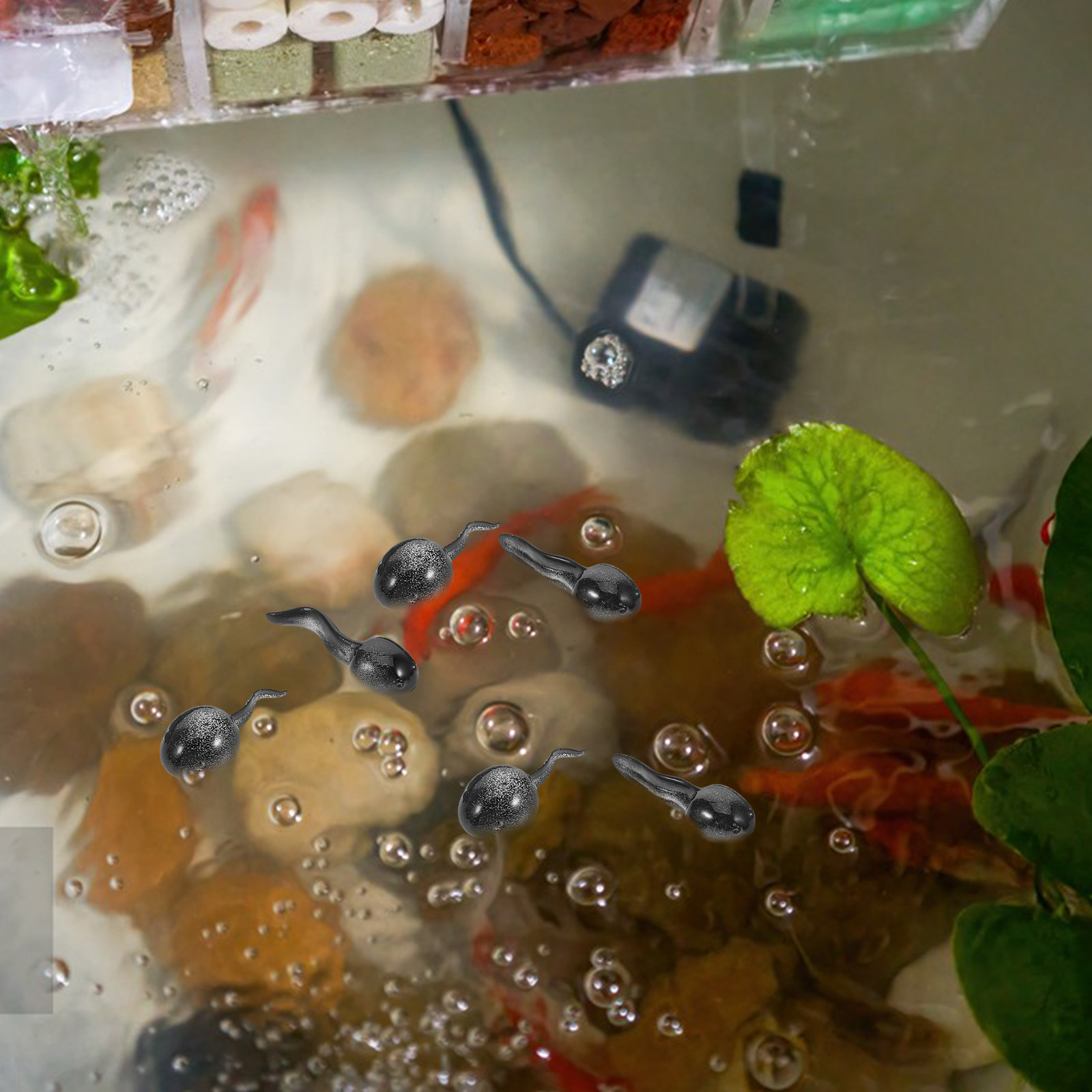 13Pcs Lifelike Tiny Tadpole Re - огляд і ціна Bonsai Garden With Pond