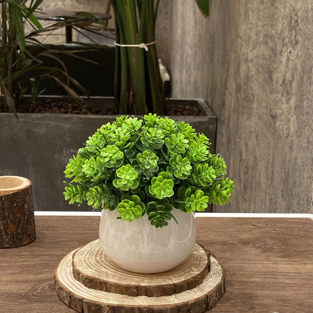 Realistic Fake Bonsai Artifici - огляд і ціна Bonsai Garden And Cafe
