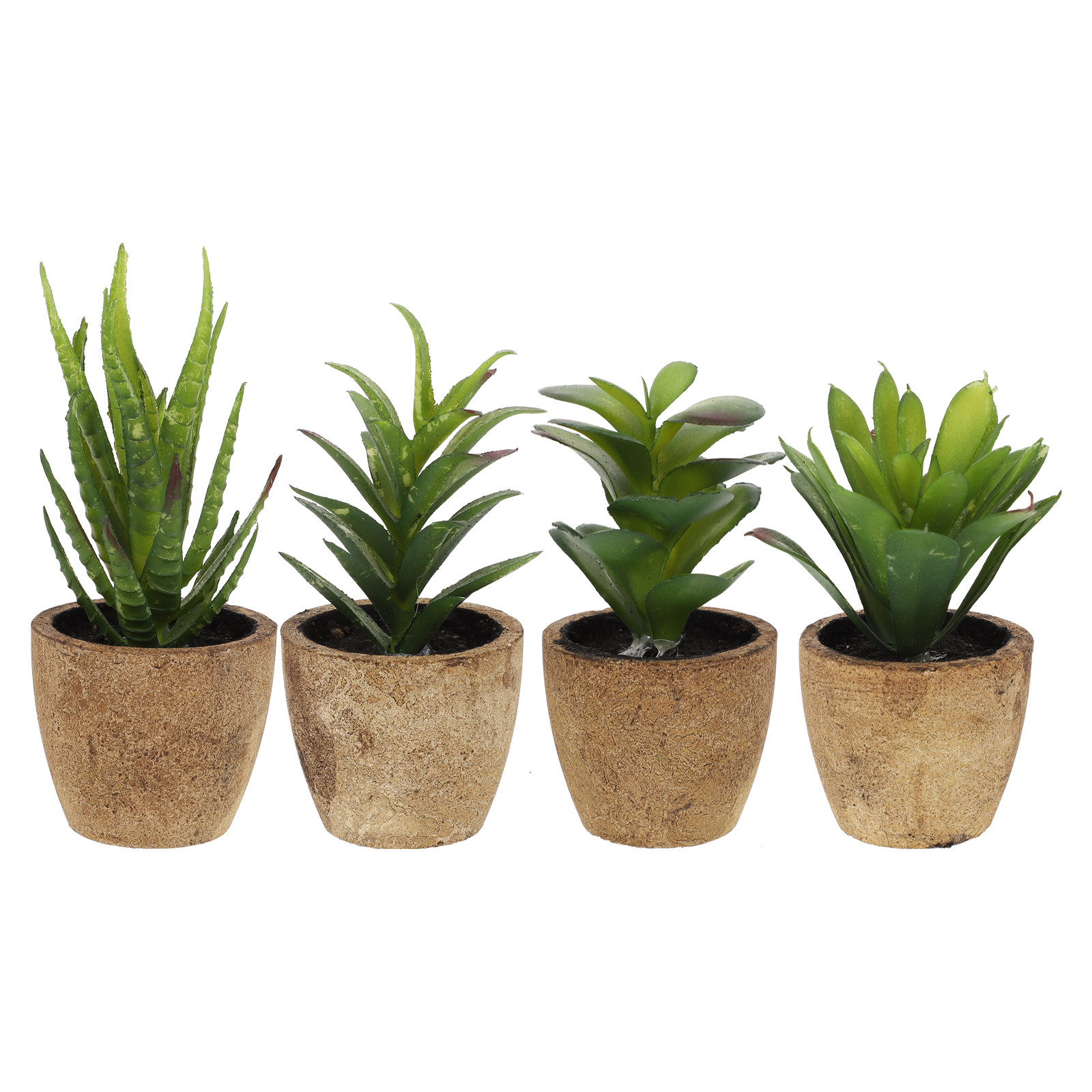 4Pcs Realistic Artificial Succ - огляд і ціна Bonsai Garden And Cafe