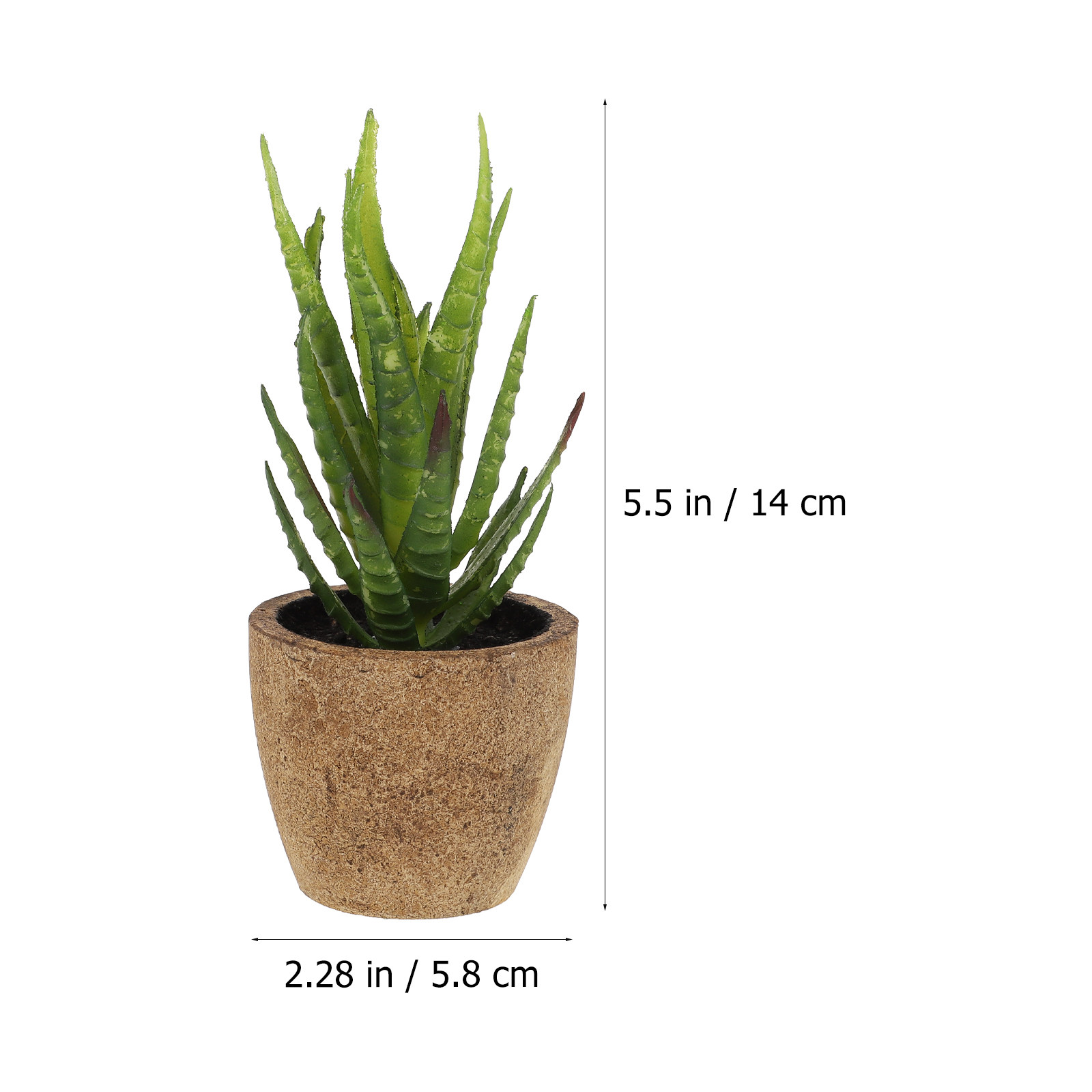 4Pcs Realistic Artificial Succ - огляд і ціна Bonsai Garden And Cafe