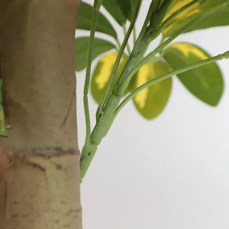 Wholesale Factory Direct Price - огляд і ціна Bonsai Garden Price