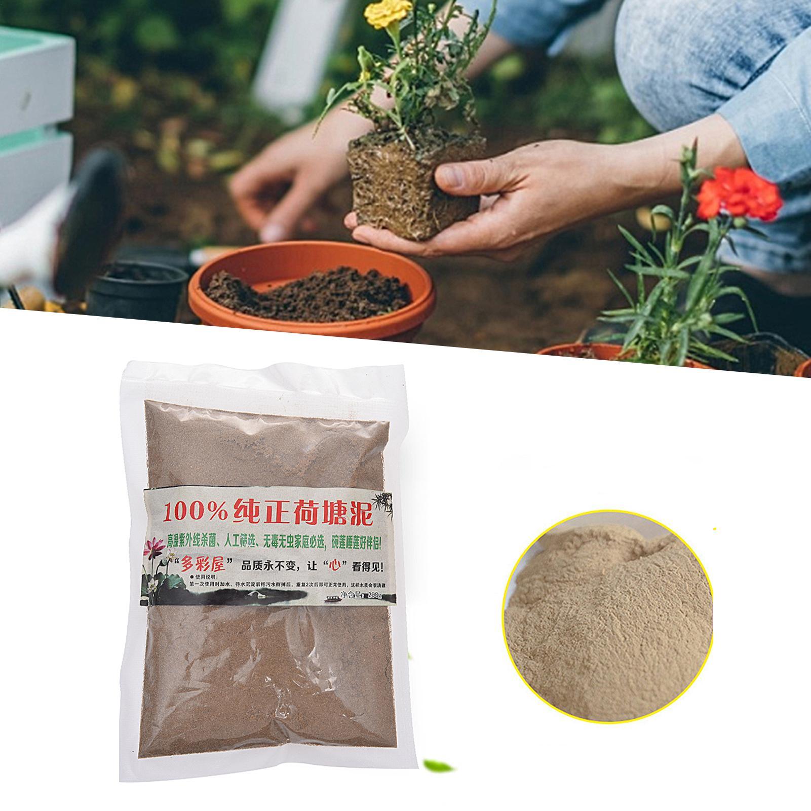 Natural Lotus Pond Mud Garden  - огляд і ціна Bonsai Garden With Pond