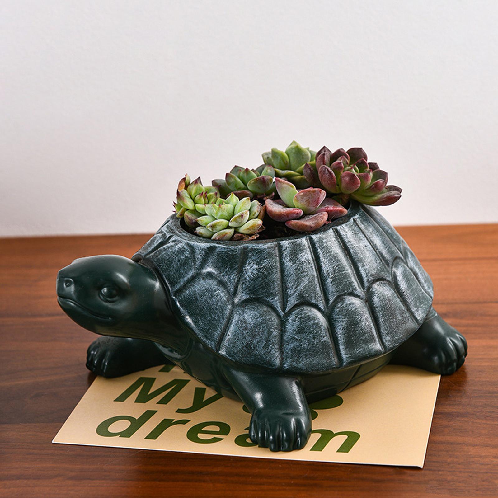 Turtle Planter Flower Pot Coll - огляд і ціна Bonsai Garden And Cafe