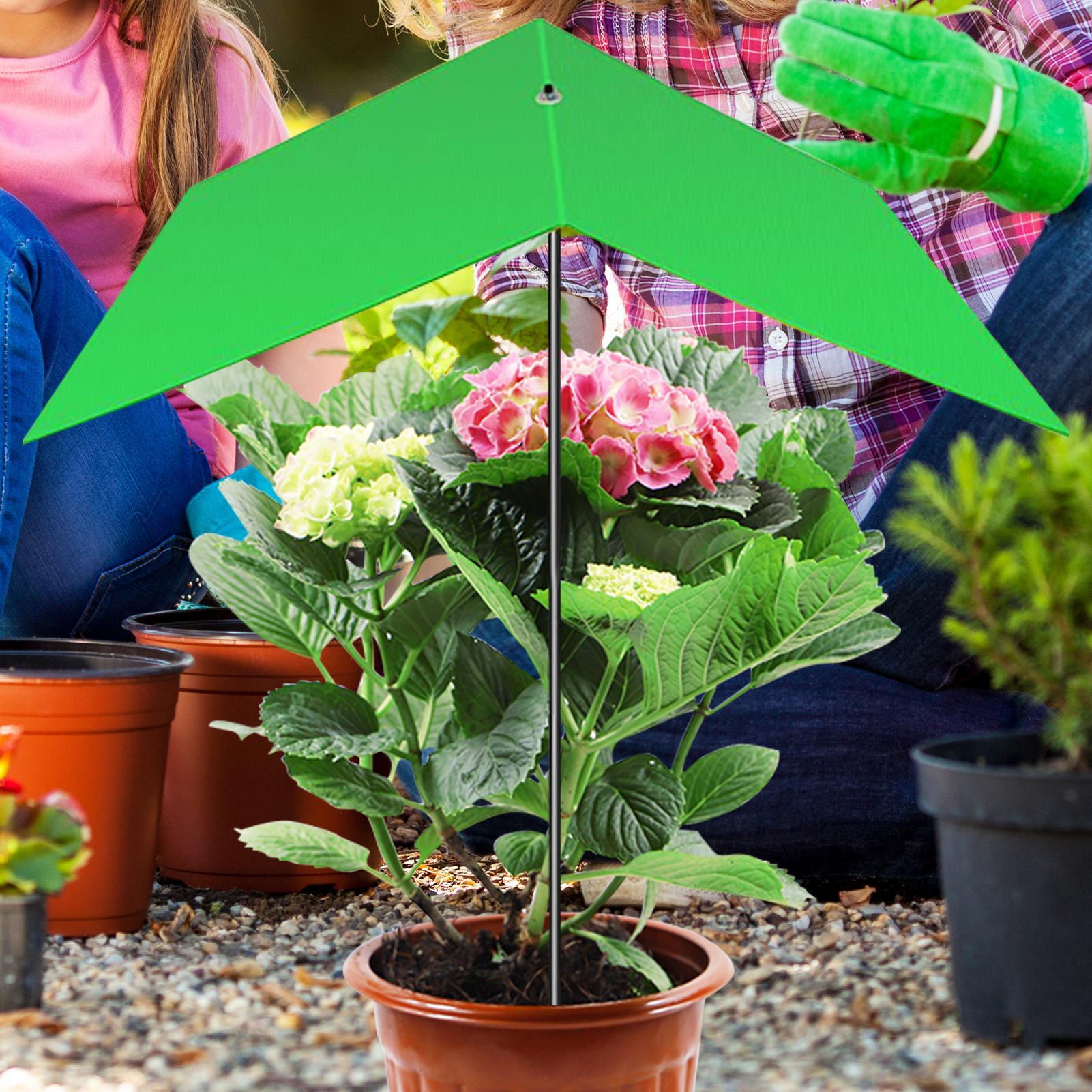 Plant Umbrella Anti-UV Heat Re - огляд і ціна Bonsai Garden And Cafe