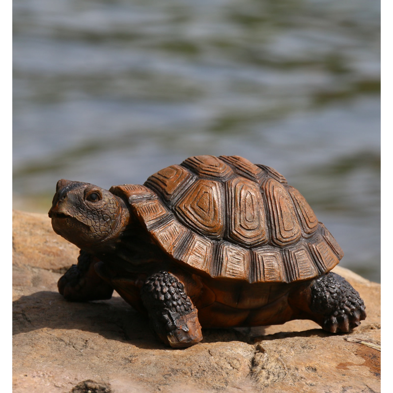 Cute Resin Tortoise Statue Out - огляд і ціна Bonsai Garden With Pond