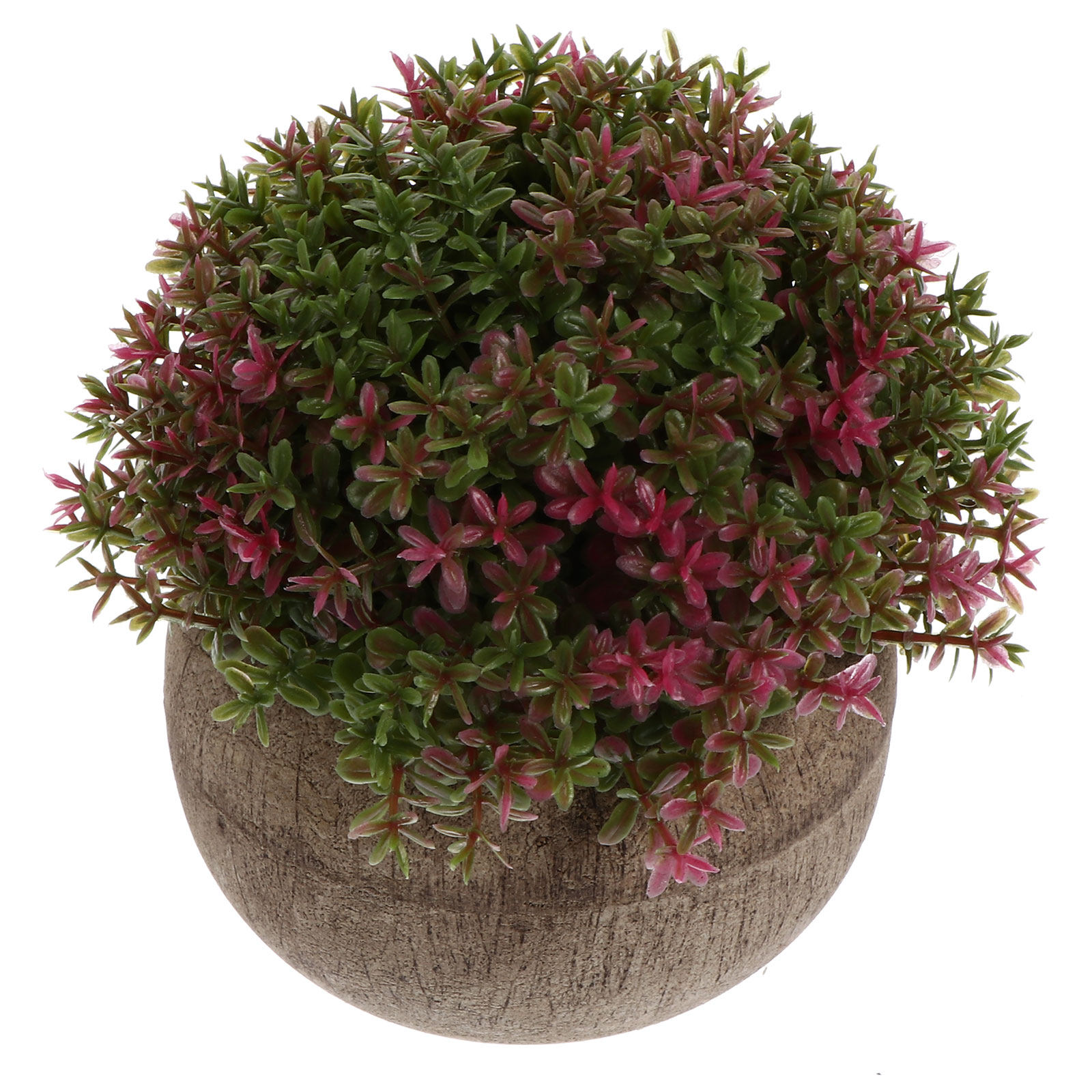 Mini Plastic Bonsai Realistic  - огляд і ціна Bonsai Garden And Cafe