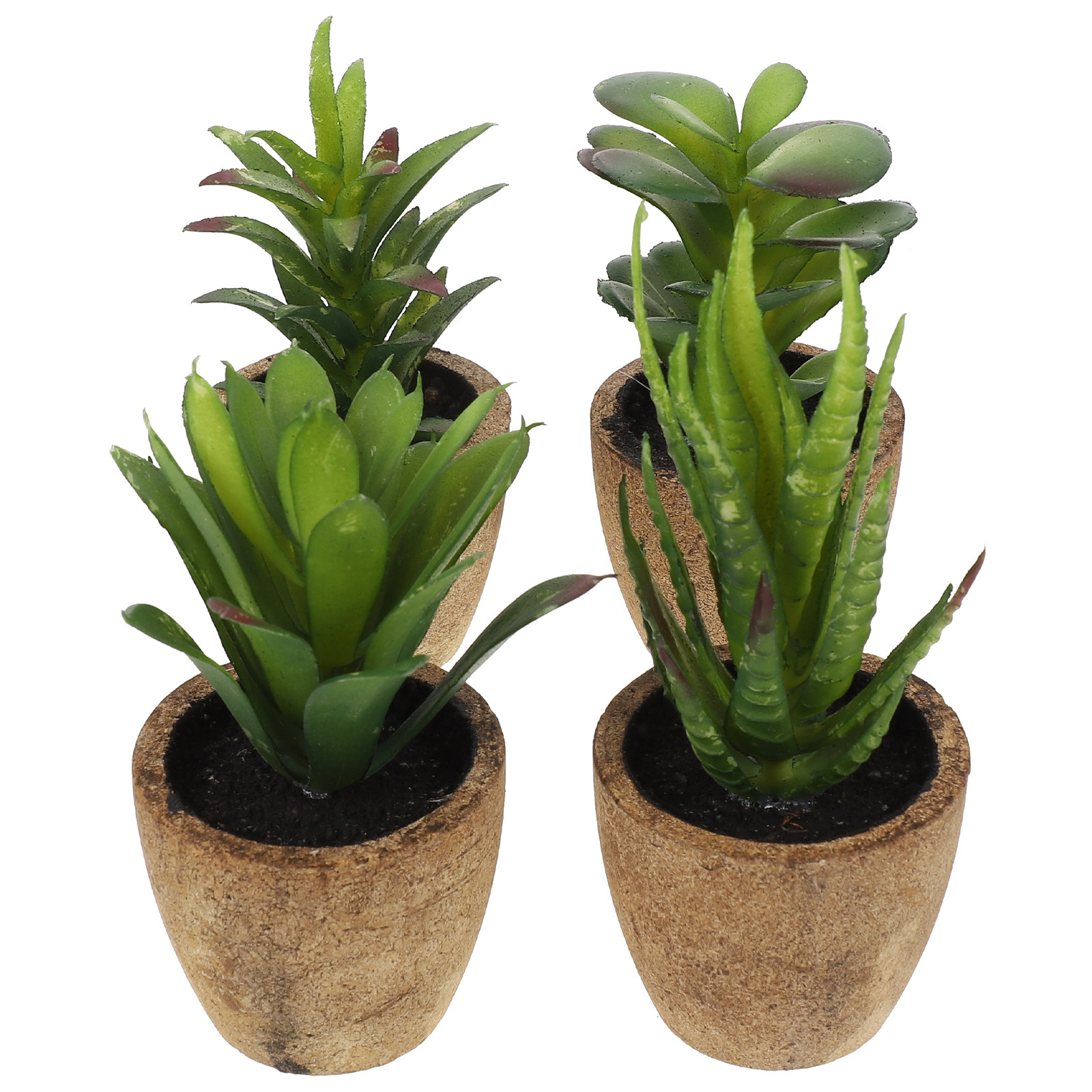 4Pcs Simulation Succulent Bons - огляд і ціна Bonsai Garden And Cafe